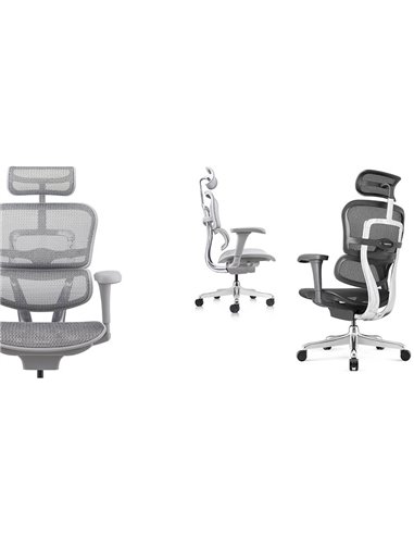 Кресло ERGOHUMAN PROJECT 2 GREY, эргономичное