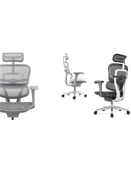 Кресло ERGOHUMAN PROJECT 2 GREY, эргономичное