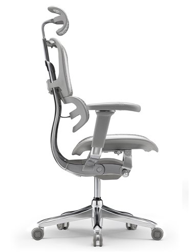 Кресло ERGOHUMAN SE (EHSE-AG-HAM-5D-E-D+LM-CH), эргономичное, серое