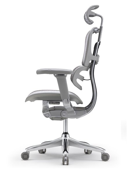 Кресло ERGOHUMAN SE (EHSE-AG-HAM-5D-E-D+LM-CH), эргономичное, серое