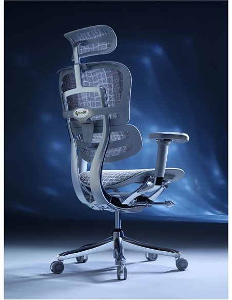 Кресло ERGOHUMAN SE (EHSE-AG-HAM-5D-E-D+LM-CH), эргономичное, серое