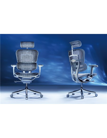 Кресло ERGOHUMAN SE (EHSE-AG-HAM-5D-E-D+LM-CH), эргономичное, серое