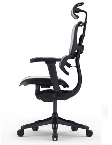 Кресло ERGOHUMAN SE (EHSE-AB-HAM-5D-E-D+LM-CH), эргономичное, черное