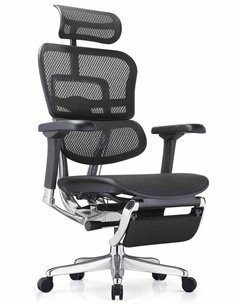 Кресло ERGOHUMAN ELITE 2 (EHE2-AB-HAM-5D-L-LM, сетка T-168-B1 BLACK), эргономичное, с подставкой под ноги