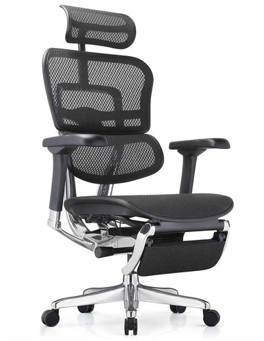 Кресло ERGOHUMAN ELITE 2 (EHE2-AB-HAM-5D-L-LM, сетка T-168-B1 BLACK), эргономичное, с подставкой под ноги
