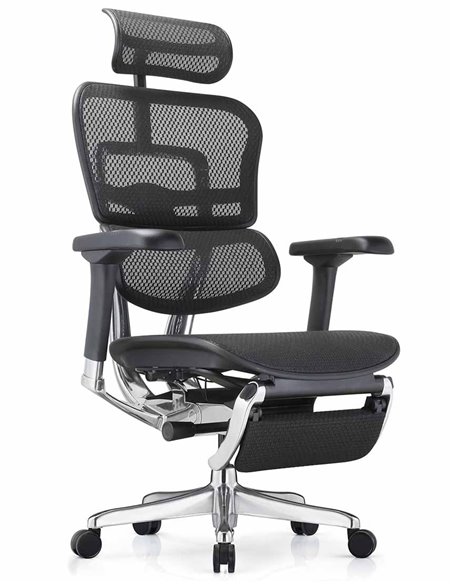 Кресло ERGOHUMAN ELITE 2 (EHE2-AB-HAM-5D-L-LM, сетка T-168-B1 BLACK), эргономичное, с подставкой под ноги