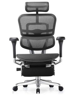 Кресло ERGOHUMAN ELITE 2 (EHE2-AB-HAM-5D-L-LM, сетка T-168-B1 BLACK), эргономичное, с подставкой под ноги 2