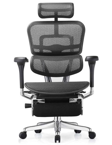 Кресло ERGOHUMAN ELITE 2 (EHE2-AB-HAM-5D-L-LM, сетка T-168-B1 BLACK), эргономичное, с подставкой под ноги