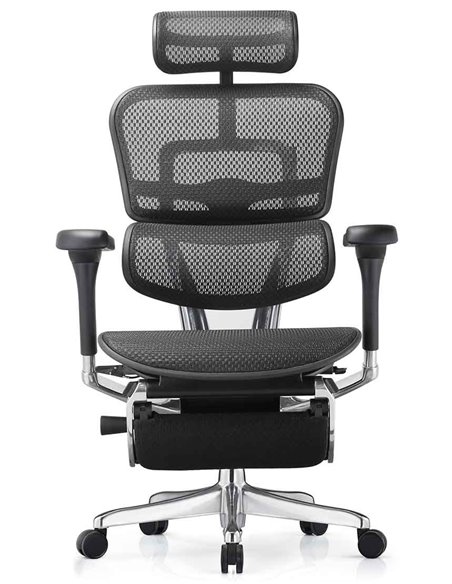 Кресло ERGOHUMAN ELITE 2 (EHE2-AB-HAM-5D-L-LM, сетка T-168-B1 BLACK), эргономичное, с подставкой под ноги
