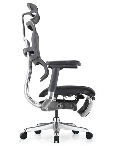Кресло ERGOHUMAN ELITE 2 (EHE2-AB-HAM-5D-L-LM, сетка T-168-B1 BLACK), эргономичное, с подставкой под ноги