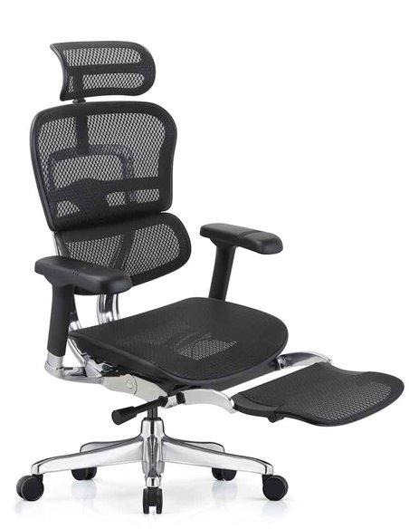 Кресло ERGOHUMAN ELITE 2 (EHE2-AB-HAM-5D-L-LM, сетка T-168-B1 BLACK), эргономичное, с подставкой под ноги
