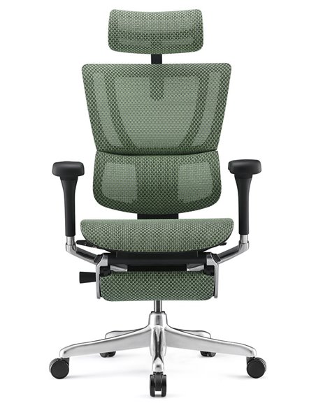 Кресло MIRUS-IOO 2 (IOOE2-AB-HAM-5D-L-LMT, СЕТКА Т-168-B6-GREEN), эргономичное, с подставкой под ноги
