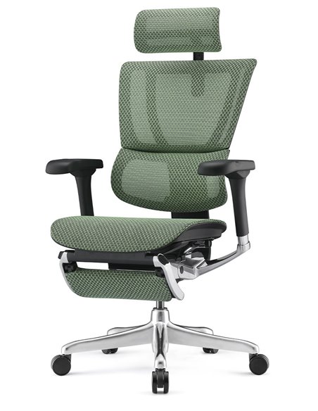 Кресло MIRUS-IOO 2 (IOOE2-AB-HAM-5D-L-LMT, СЕТКА Т-168-B6-GREEN), эргономичное, с подставкой под ноги