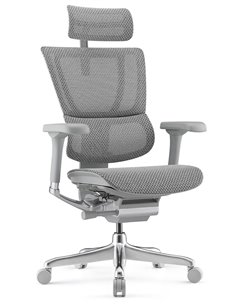 Кресло MIRUS-IOO 2 (IOOE2-AG-HAM-5D-L, СЕТКА Т-168-B2 NATURAL), эргономичное