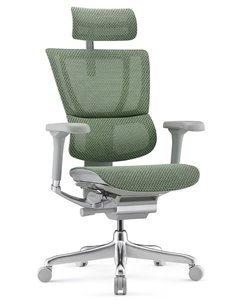 Кресло MIRUS-IOO 2 (IOOE2-AG-HAM-5D-L, СЕТКА Т-168-B6 GREEN), эргономичное