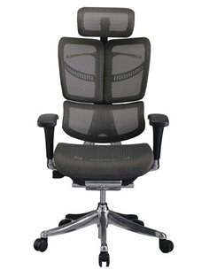 Кресло Expert FLY (HFYM01) для руководителя, ортопедическое, цвет черный