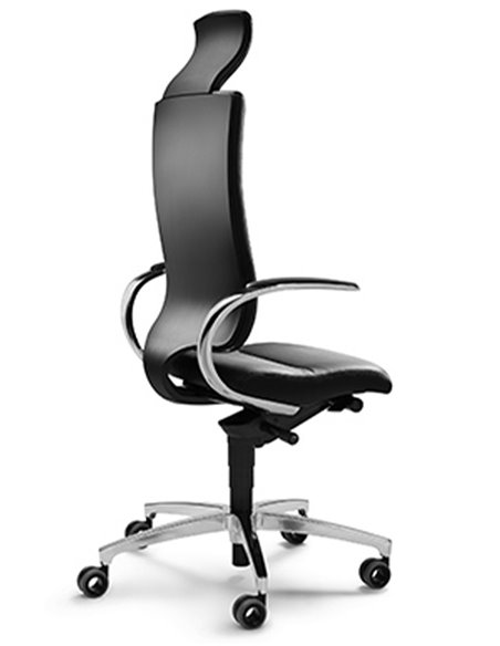 Кресло DAUPHIN INTOUCH IT-5420 эргономичное, кожаное