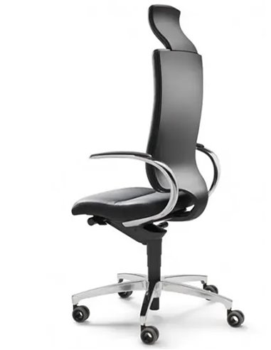 Кресло DAUPHIN INTOUCH IT-5420 эргономичное, кожаное