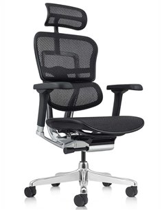 Кресло ERGOHUMAN ELITE 2 (EHE2-AB-HAM-5D-L, сетка T-168-B1 Black), эргономичное