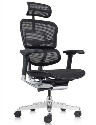Кресло ERGOHUMAN ELITE 2 (EHE2-AB-HAM-5D-L, сетка T-168-B1 Black), эргономичное