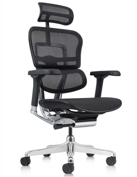 Кресло ERGOHUMAN ELITE 2 (EHE2-AB-HAM-5D-L, сетка T-168-B1 Black), эргономичное