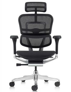 Кресло ERGOHUMAN ELITE 2 (EHE2-AB-HAM-5D-L, сетка T-168-B1 Black), эргономичное 2