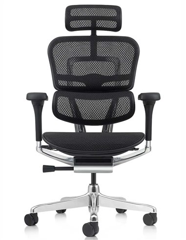 Кресло ERGOHUMAN ELITE 2 (EHE2-AB-HAM-5D-L, сетка T-168-B1 Black), эргономичное