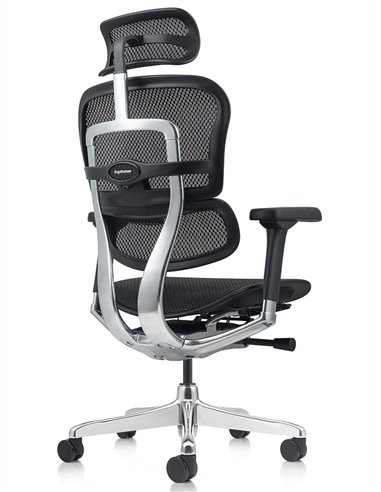 Кресло ERGOHUMAN ELITE 2 (EHE2-AB-HAM-5D-L, сетка T-168-B1 Black), эргономичное