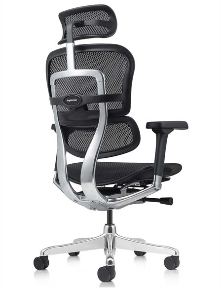 Кресло ERGOHUMAN ELITE 2 (EHE2-AB-HAM-5D-L, сетка T-168-B1 Black), эргономичное