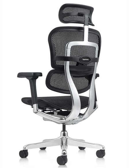 Кресло ERGOHUMAN ELITE 2 (EHE2-AB-HAM-5D-L, сетка T-168-B1 Black), эргономичное