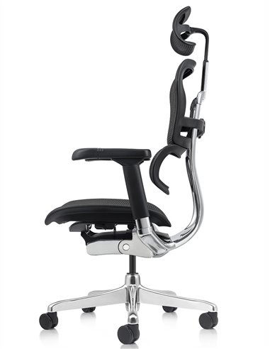 Кресло ERGOHUMAN ELITE 2 (EHE2-AB-HAM-5D-L, сетка T-168-B1 Black), эргономичное