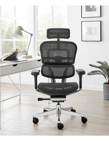 Кресло ERGOHUMAN ELITE 2 (EHE2-AB-HAM-5D-L, сетка T-168-B1 Black), эргономичное