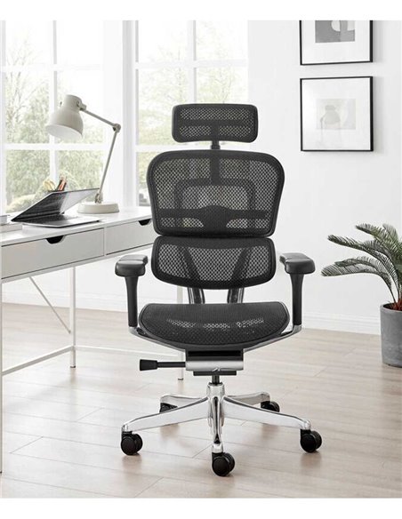 Кресло ERGOHUMAN ELITE 2 (EHE2-AB-HAM-5D-L, сетка T-168-B1 Black), эргономичное