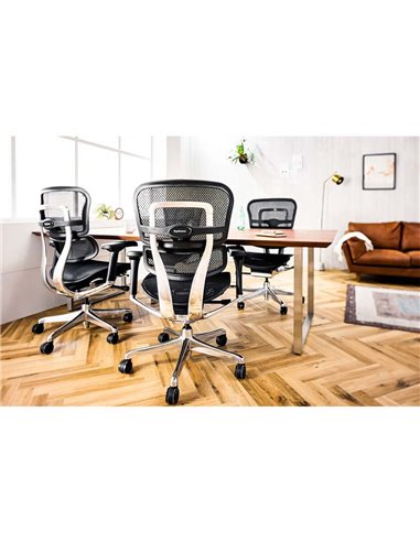 Кресло ERGOHUMAN ELITE 2 (EHE2-AB-HAM-5D-L, сетка T-168-B1 Black), эргономичное