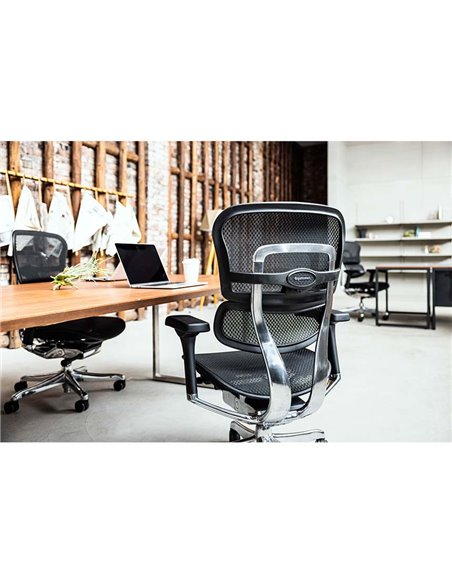 Кресло ERGOHUMAN ELITE 2 (EHE2-AB-HAM-5D-L, сетка T-168-B1 Black), эргономичное