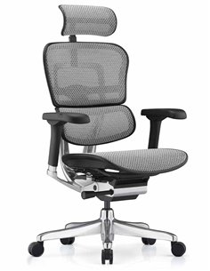 Кресло ERGOHUMAN ELITE 2 (EHE2-AB-HAM-5D-L, сетка T-168-B2 Natural), эргономичное