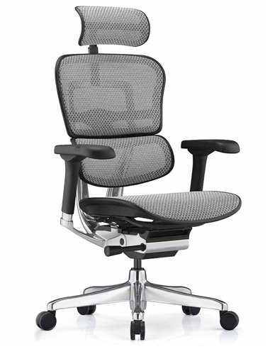 Кресло ERGOHUMAN ELITE 2 (EHE2-AB-HAM-5D-L, сетка T-168-B2 Natural), эргономичное