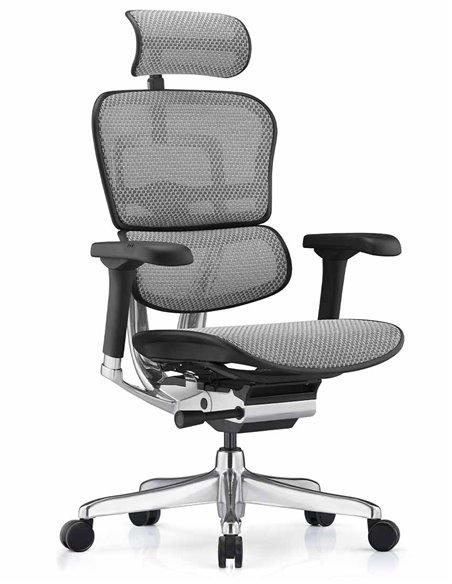 Кресло ERGOHUMAN ELITE 2 (EHE2-AB-HAM-5D-L, сетка T-168-B2 Natural), эргономичное