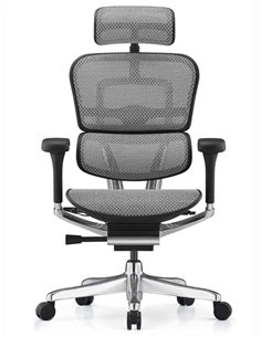 Кресло ERGOHUMAN ELITE 2 (EHE2-AB-HAM-5D-L, сетка T-168-B2 Natural), эргономичное 2