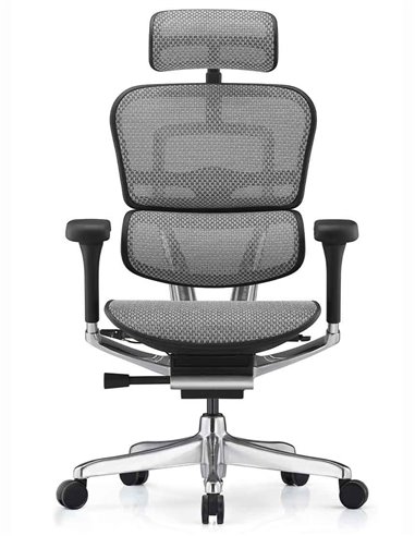 Кресло ERGOHUMAN ELITE 2 (EHE2-AB-HAM-5D-L, сетка T-168-B2 Natural), эргономичное
