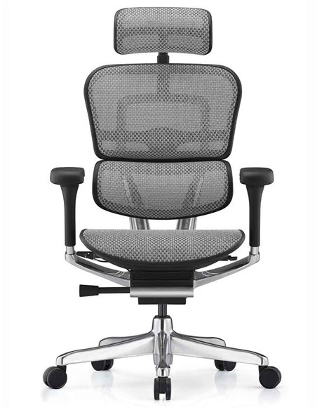 Кресло ERGOHUMAN ELITE 2 (EHE2-AB-HAM-5D-L, сетка T-168-B2 Natural), эргономичное