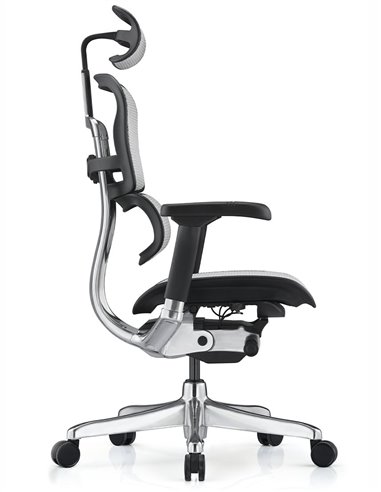 Кресло ERGOHUMAN ELITE 2 (EHE2-AB-HAM-5D-L, сетка T-168-B2 Natural), эргономичное