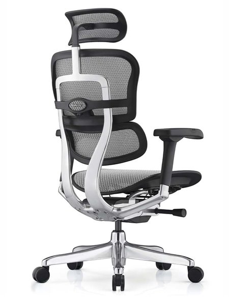 Кресло ERGOHUMAN ELITE 2 (EHE2-AB-HAM-5D-L, сетка T-168-B2 Natural), эргономичное