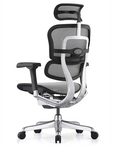 Кресло ERGOHUMAN ELITE 2 (EHE2-AB-HAM-5D-L, сетка T-168-B2 Natural), эргономичное