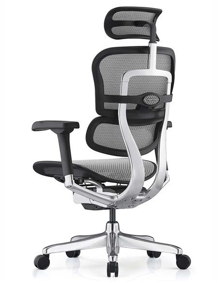 Кресло ERGOHUMAN ELITE 2 (EHE2-AB-HAM-5D-L, сетка T-168-B2 Natural), эргономичное