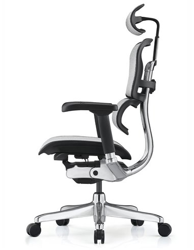 Кресло ERGOHUMAN ELITE 2 (EHE2-AB-HAM-5D-L, сетка T-168-B2 Natural), эргономичное