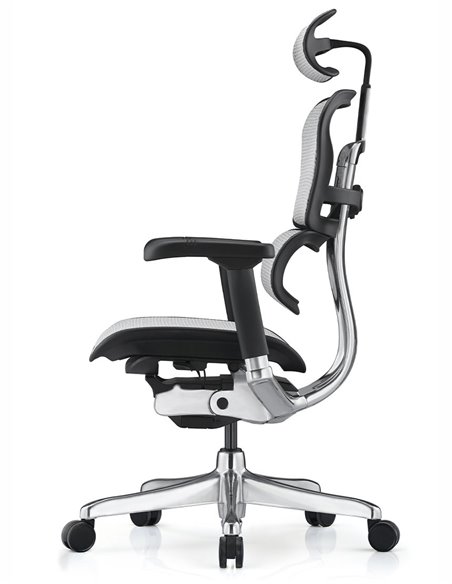 Кресло ERGOHUMAN ELITE 2 (EHE2-AB-HAM-5D-L, сетка T-168-B2 Natural), эргономичное