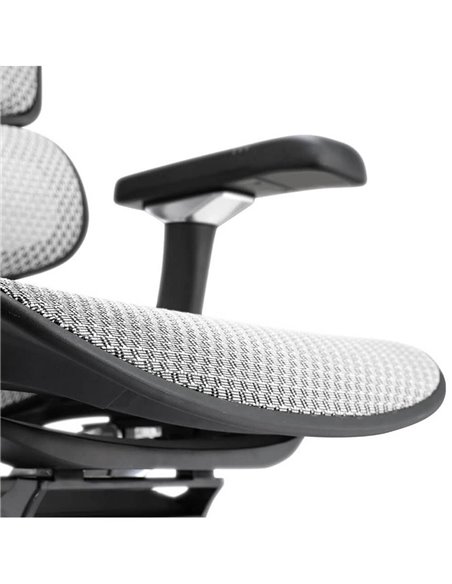Кресло ERGOHUMAN ELITE 2 (EHE2-AB-HAM-5D-L, сетка T-168-B2 Natural), эргономичное