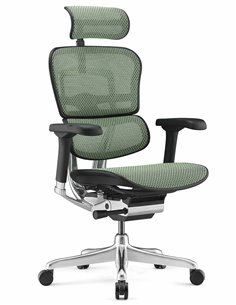 Кресло ERGOHUMAN ELITE 2 (EHE2-AB-HAM-5D-L, сетка T-168-B6 Green), эргономичное