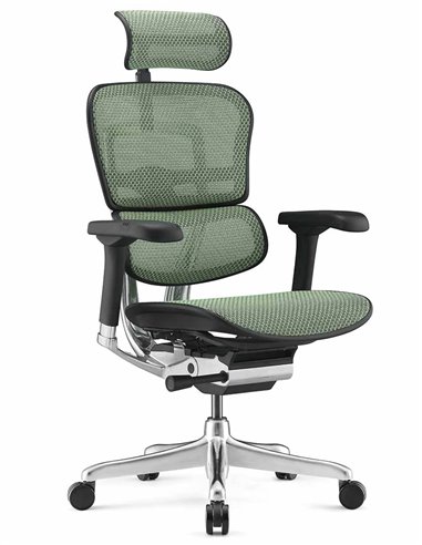 Кресло ERGOHUMAN ELITE 2 (EHE2-AB-HAM-5D-L, сетка T-168-B6 Green), эргономичное